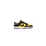 Nike Dunk Low Michigan TD 2021